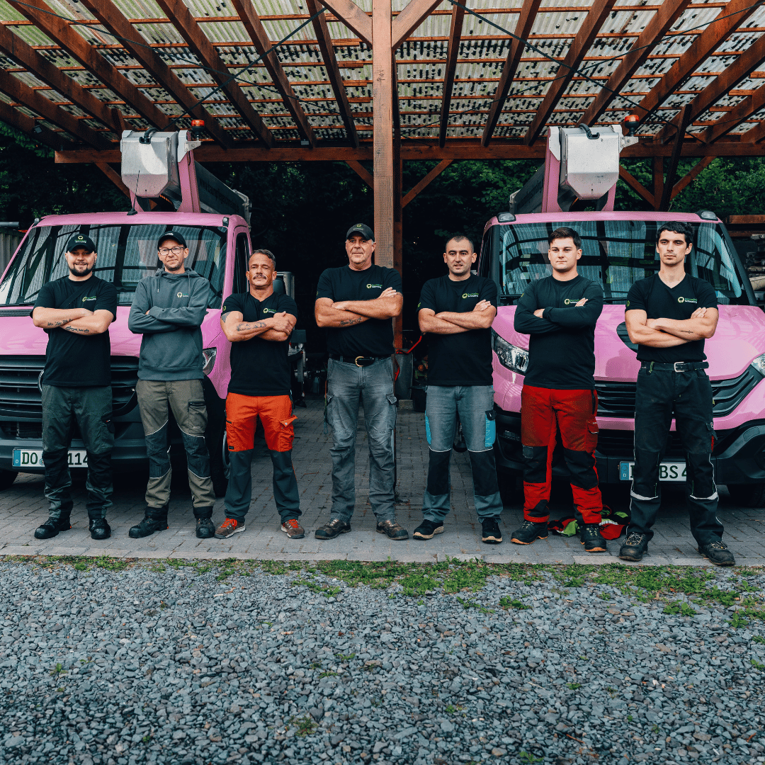 Baumpflege Schmaling GmbH Dortmund - Teambild